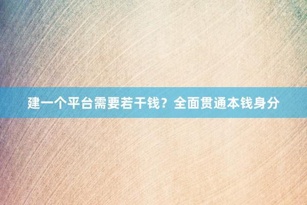建一个平台需要若干钱？全面贯通本钱身分