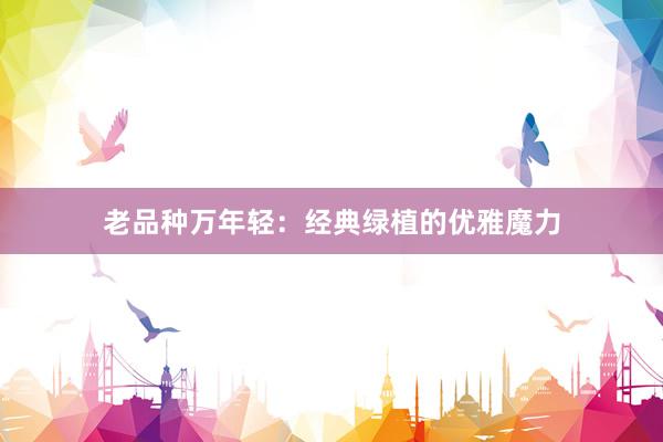 老品种万年轻：经典绿植的优雅魔力