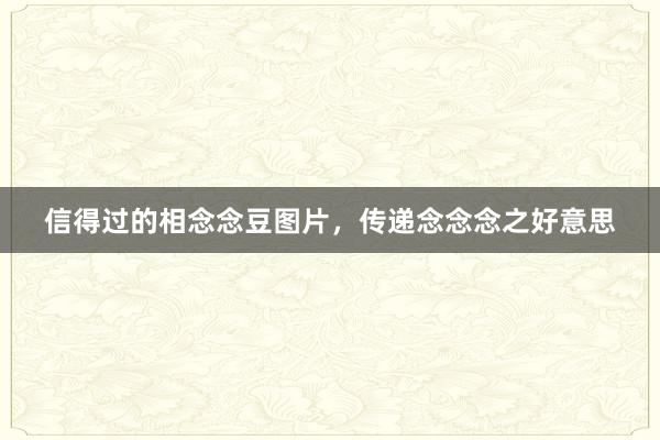 信得过的相念念豆图片，传递念念念之好意思