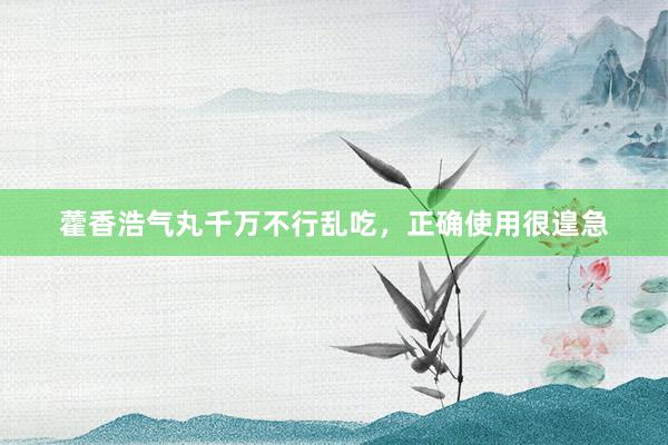 藿香浩气丸千万不行乱吃，正确使用很遑急