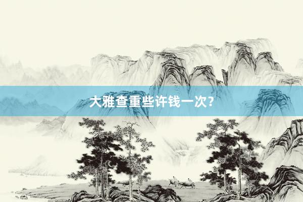 大雅查重些许钱一次？